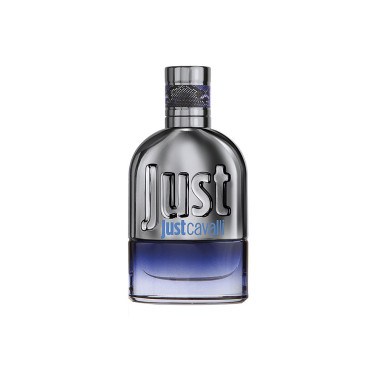 JUST CAVALLI POUR LUI Eau de Toilette Vaporisateur